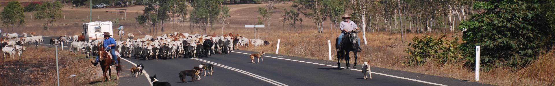 australie autohuur