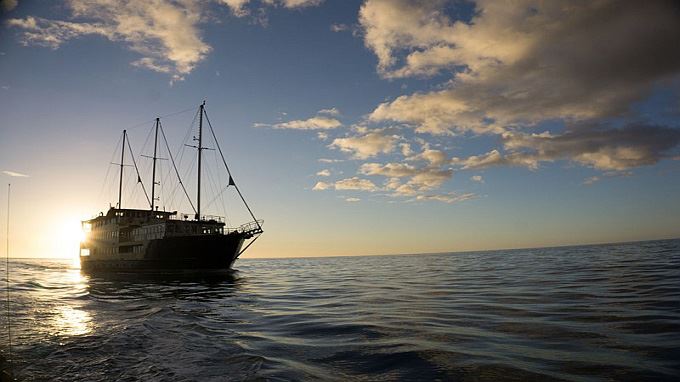 nieuw-zeeland tours